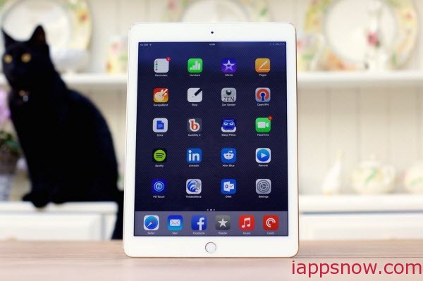 iPad Air(2)