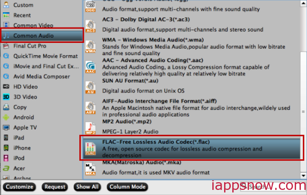 iPhone/iPad Audio Format