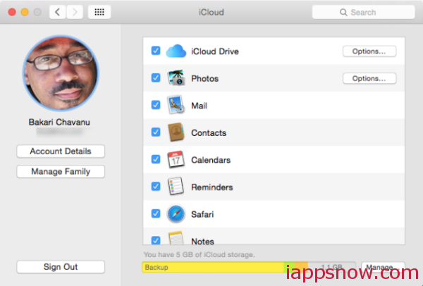 Options in iCloud Drive for the Mac