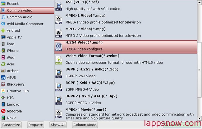 common large size file format for mac and windows