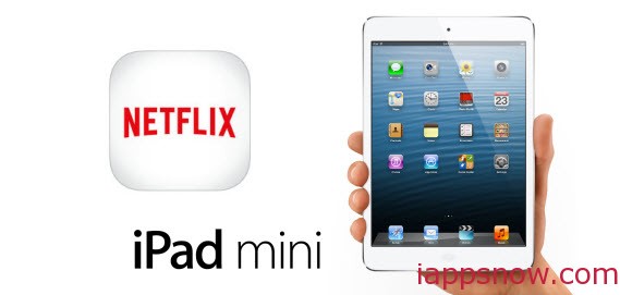 Enjoy Netflix movie on iPad Mini