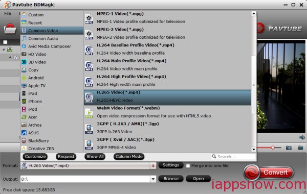 H.265 HEVC video format